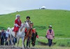 На ипподроме “Ак-Кула” пройдет выставка племенных лошадей