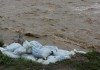 МЧС: Уровень воды в реке Нарын начал понижаться (фоторепортаж)