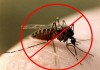 Кыргызстан попросил ВОЗ признать страну свободной от малярии