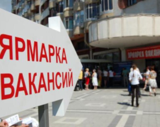 В Минтруда Кыргызстана рассказали о ситуации на рынке труда и востребованных вакансиях