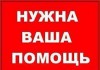 Поисковое движение «Наша Победа» ищет родственников участника ВОВ, останки которого найдены в Карелии