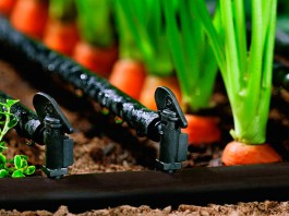 Минсельхоз КР: На 2026 год планируется установка систем капельного и дождевального орошения на площади 5270 га селхозземель