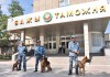 Правительство Кыргызстана твердо настроено навести порядок в ГТС – пресс-служба