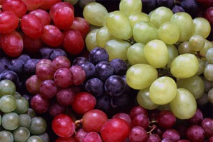 В мире исчезнет 85% виноградников: винный кризис