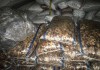 Контрабанда сухофруктов почти на 1 млн сомов задержана на границе с Таджикистаном