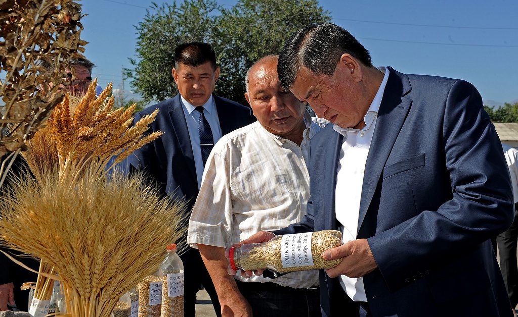 Хозяйство киргизии. Сельское хозяйство Кыргызстана. Минсельхоз кр. Киргизия сельскохозяйственный форум 2022 года.