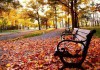 «Осенний Бишкек» пройдет в столичных парках