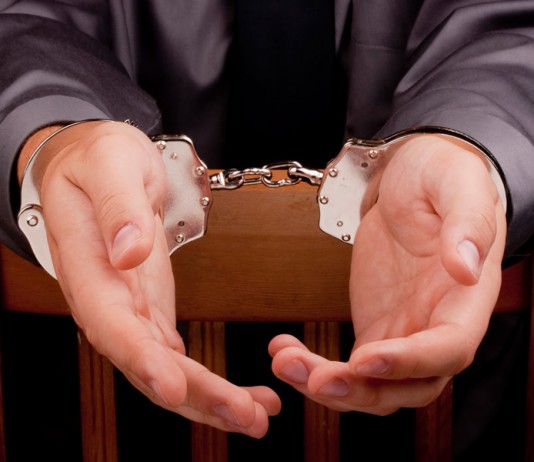 Британская полиция изъяла скелеты динозавров на 15 млн долларов у китайца, подозреваемого в крупной афере с отмыванием денег