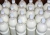 Дойных коров забили, молока нет. Глава Молочной палаты опровергает заявления Минсельхоза Кыргызстана