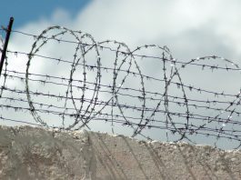 Осужденные исправительной колонии №8 прятали три грузовика с мебелью (видео)