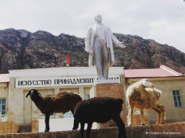 Кыргызстанка выиграла международный Instagram-конкурс