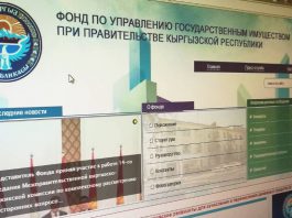 В деятельности ФУГИ выявлены финансовые нарушения — Счетная палата Кыргызстана