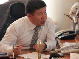 Глава ГНС: Патентная система упрощает выполнение налоговых обязательств для предпринимателей