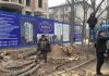 Активист: Работники «Зеленстроя» вырубают здоровые деревья в Бишкеке