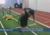 Пловец из Кыргызстана рассказал о тренировках в  США
