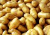 Контрабанду картофеля стоимостью более 620 тыс. сомов задержали таможенники Кыргызстана