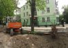 В мэрии пообещали пока не вырубать деревья по улице Токтоналиева