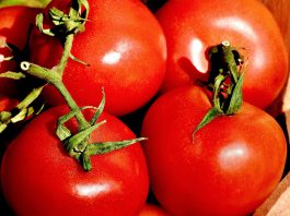 Ученые выяснили, почему магазинные овощи и фрукты не имеют вкуса