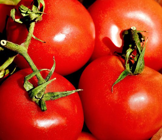 Россия запретила импорт томатов и яблок из Азербайджана
