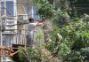 «Зеленстрой» приступил к вырубке 52 деревьев в «Востоке-5»