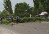 В Бишкеке шквалистый ветер повалил несколько деревьев (фото)