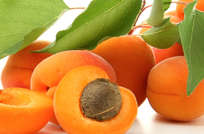 В Минсельхозе Кыргызстана обсудили проблемы при экспорте абрикоса