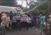 В Бишкеке дерево упало на бус, пострадал водитель (видео)