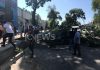 В Бишкеке на автомобиль упало дерево (фото, видео)