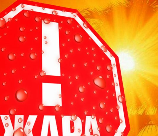 Смертельная жара — новая климатическая реальность Европы