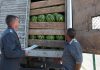 Россельхознадзор забраковал 70 тонн фруктов и овощей из Кыргызстана и Казахстана