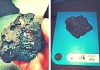 В Ростовской области на продажу выставлен метеорит, найденный в горах Кыргызстана