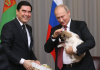 Президент Туркмении подарил Путину щенка алабая