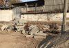Очевидец: В Бишкеке на улице Тыныстанова срубили здоровые деревья