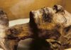 Депутаты Жогорку Кенеша предлагают вновь выкопать мумию «Баткенской царицы» и вернуть ее в музей