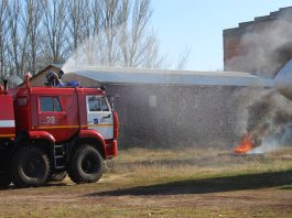 Салмоорбек Карагулов назначен директором Службы по пожарному надзору