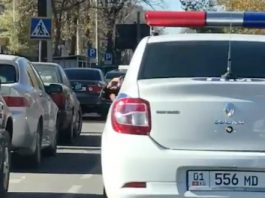 ГУПМ пообещало найти милиционера, щелкавшего семечки за рулем