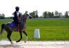 В Бишкеке прошли первые международные соревнования по дистанционным конным пробегам
