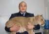 В Бишкеке неизвестные подбросили львенка к дому директора фонда «Бугу-Эне»
