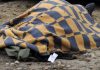 На одном из пляжей Иссык-Куля найден обглоданный труп мужчины