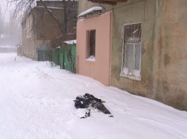 В Бишкеке двое бездомных умерли от переохлаждения