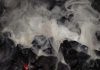 Ученые раскрыли механизм образования каменного угля