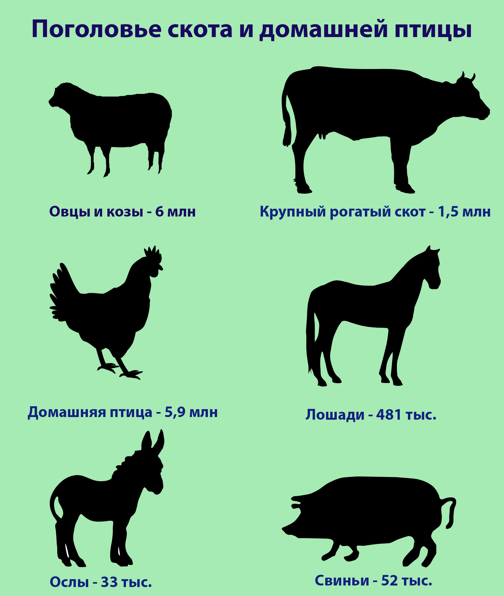 Домашний скот. Разновидность домашнего скота. Поголовье домашнего скота.. Рогатый скот виды.