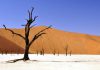 Половину территории Кыргызстана могут накрыть пустыни. Неутешительные прогнозы Всемирного банка