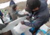 Молодежь очистила от мусора прибрежье озер Иссык-Куль и Чатыр-Куль. За день вывезли 5 тонн отходов