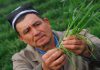 В Узбекистане фермерам предоставили финансовые гарантии