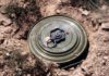 Расследуются обстоятельства появления на городском ипподроме Бишкека противотанковой мины без запала