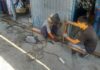 На  Ошском рынке продолжают демонтировать металлические конструкции