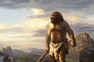 Древний предок человека салехантроп ходил на двух ногах уже 7 миллионов лет назад