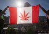 В Канаде легализована марихуана