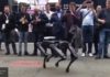 Черный робот-пес SpotMini прогулялся по немецкому Ганноверу